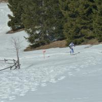 Coppa Italia Sprint - Campionato Italiano Long Sci-O