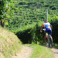 Coppa Italia Long e Middle MTBO