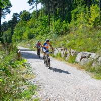 Coppa Italia Long MTBO